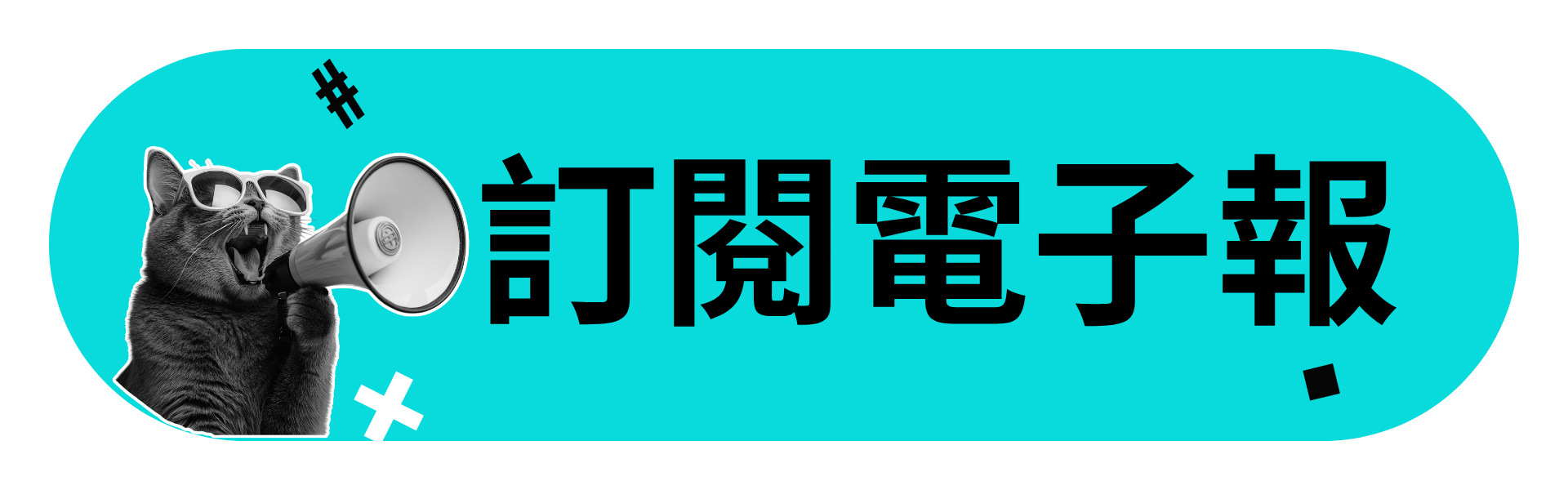 哈彼科技訂閱電子報